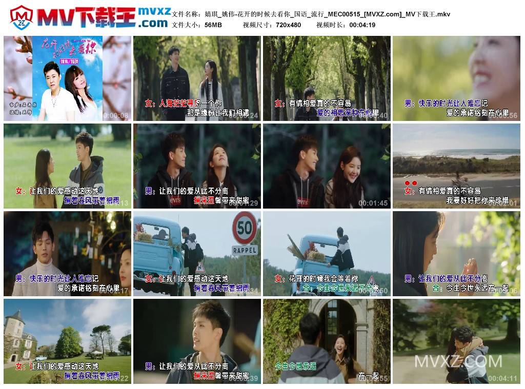 婧琪_姚伟-花开的时候去看你_国语_流行_MEC00515